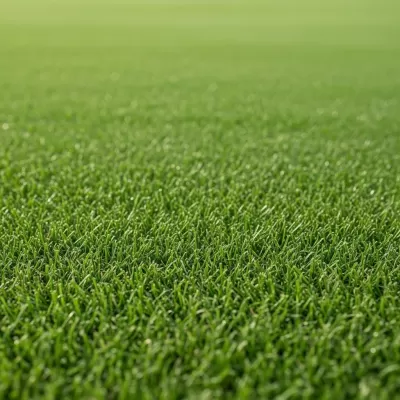 Imagen PNG para descargar